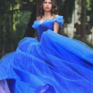 Robe de princesse bleue